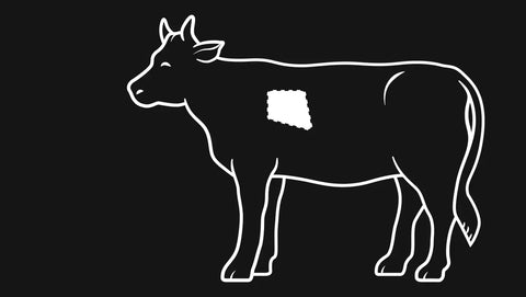 Fleischratgeber: Short Ribs / Rinderrippe