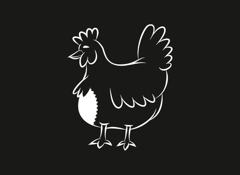 Fleisch Know-how: Hühnerbrust
