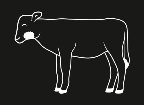 Fleisch Know-how: Kalbsbackerl