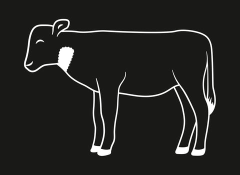 Fleisch Know-how: Kalbsrollbraten