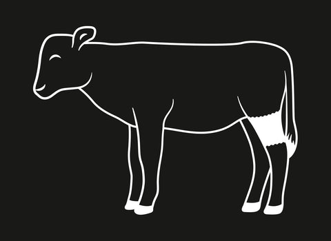 Fleisch Know-how: Kalbsstelze