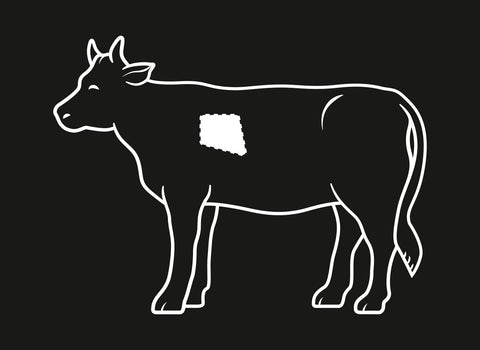 Fleisch Know-how: Short Ribs / Rinderrippe
