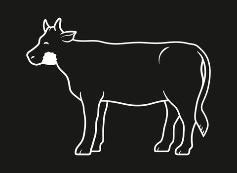 Fleisch Know-how: Rindsbackerl